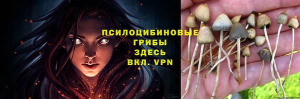гашик Абаза