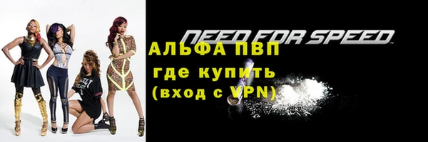 гашик Абаза